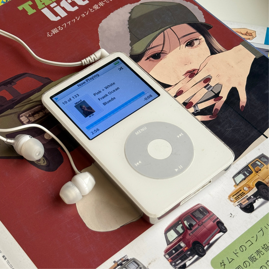 iPod video 5.5th gen