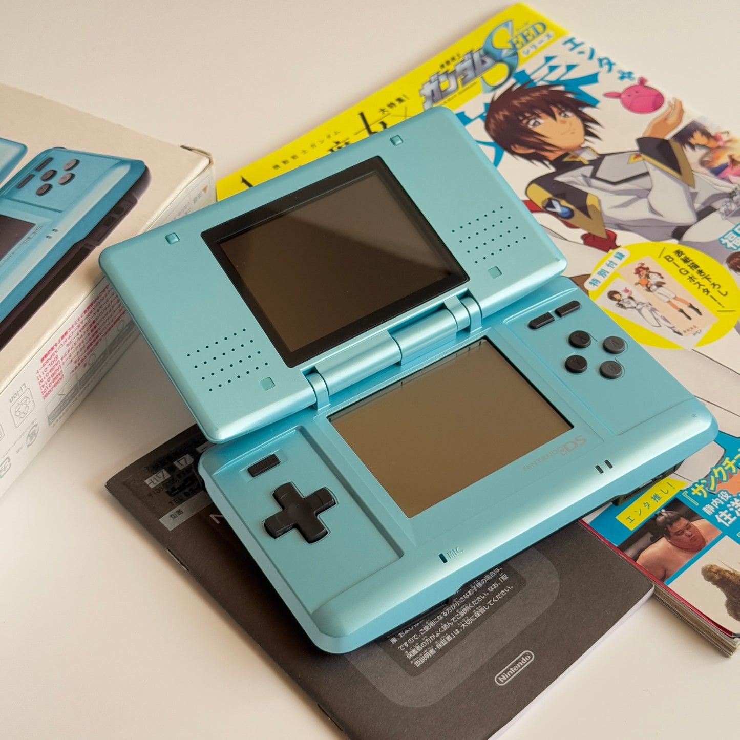 Nintendo DS (first gen)