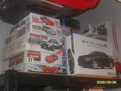 Samsung PL100 Digital Camera