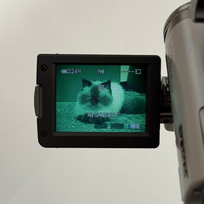 Tapeless Sony Handycam DCR-TRV22