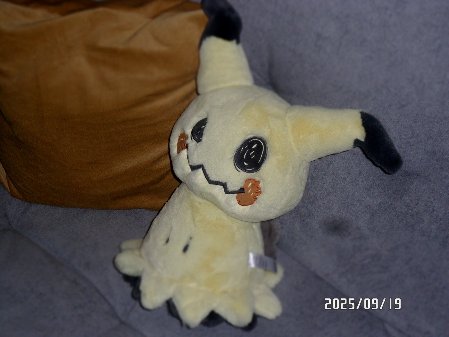 Samsung PL120 Digital Camera