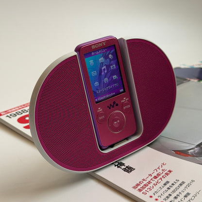 Sony Walkman NW-S636F MP3 player (PROBLEM)